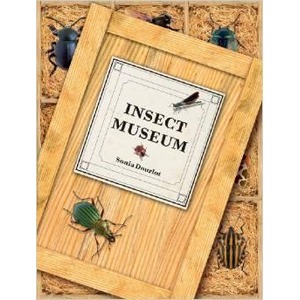 Wooden frame on straw background displays a sign reading INSECT MUMSEUM with colorful beetles around.