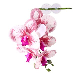Pink and white variegated orchid blooms on a green stem with magenta centers.