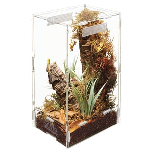 Clear glass terrarium with moss, rocks, and a green gecko on a rugged log, surrounded by plants.