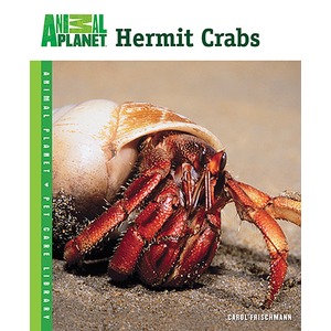 Hermit crab with a large shell on a sandy beach; Animal Planet Hermit Crabs cover.