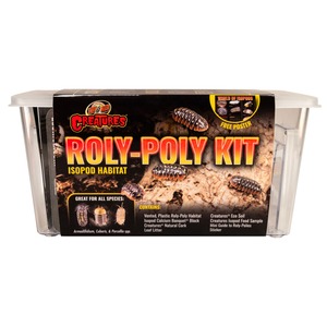 Roly-Poly Kit isopod habitat in a clear plastic tub with bold label artwork showing isopods.