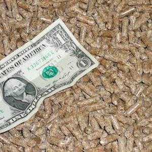 Partial US one-dollar bill lying on a bed of wood pellets.