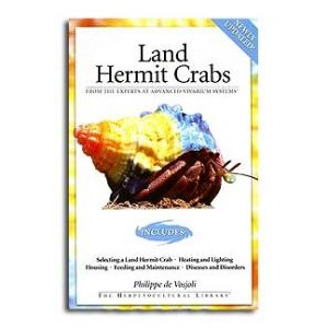 Land Hermit Crabs cover with colorful shells and a hermit crab on display.