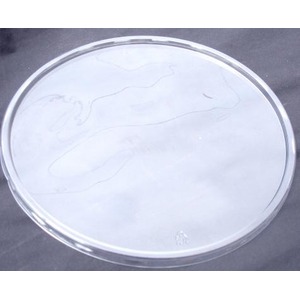 Round petri dish with a clear lid, viewed from above on a dark surface.