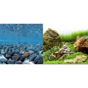 Underwater pebbled seabed on the left and a grassy rock garden on the right.
