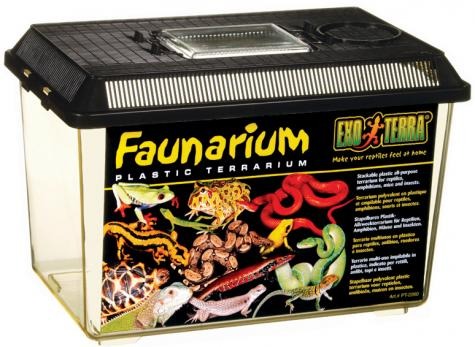Exo Terra Medium Faunarium Critter Keeper | LLLReptile