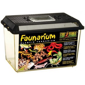Faunarium plastic terrarium with reptile artwork on the label and a black lid.