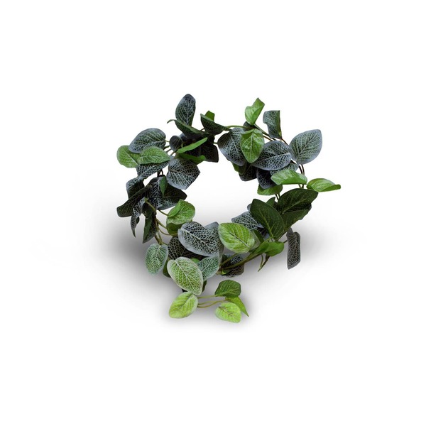 Circular wreath of variegated green leaves with white veining.