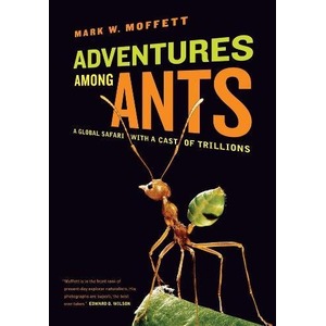 Dark book cover for Adventures Among Ants featuring a large orange ant on a green leaf.