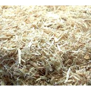 Wood shavings and sawdust on the ground