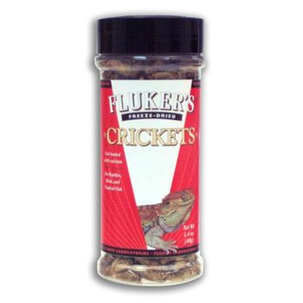 Jar of Plucker's Crickets roasted cricket snack with red label.