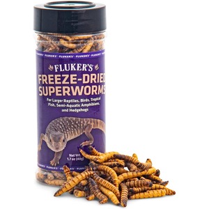 Purple-labeled Fluker's Freeze-Dried Superworms jar with dried worms spilling at the base.