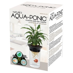 Nature's Aqua-Ponic planter and fish habitat box with a green plant in a clear water-filled pot and a fish.