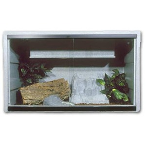 Glass terrarium with rocks, soil, and green plants, lit by a top light.