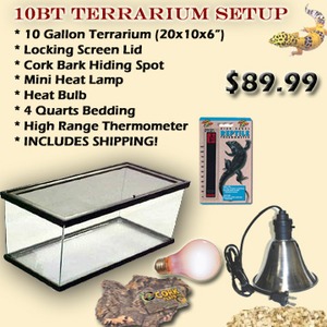 10 gallon terrarium setup with lid, cork hiding spot, heat lamp and bulb, bedding, thermometer, decor; price $89.99.