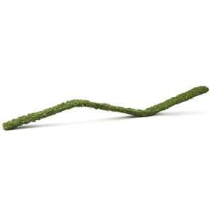Curved moss-covered branch forming a gentle S-shape on a white background.