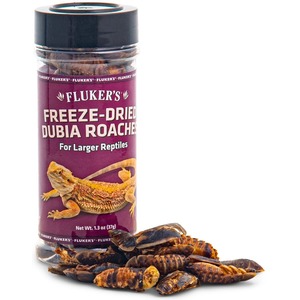 Purple Fluker's container of freeze-dried Dubia roaches with dried roaches spilled at the base.