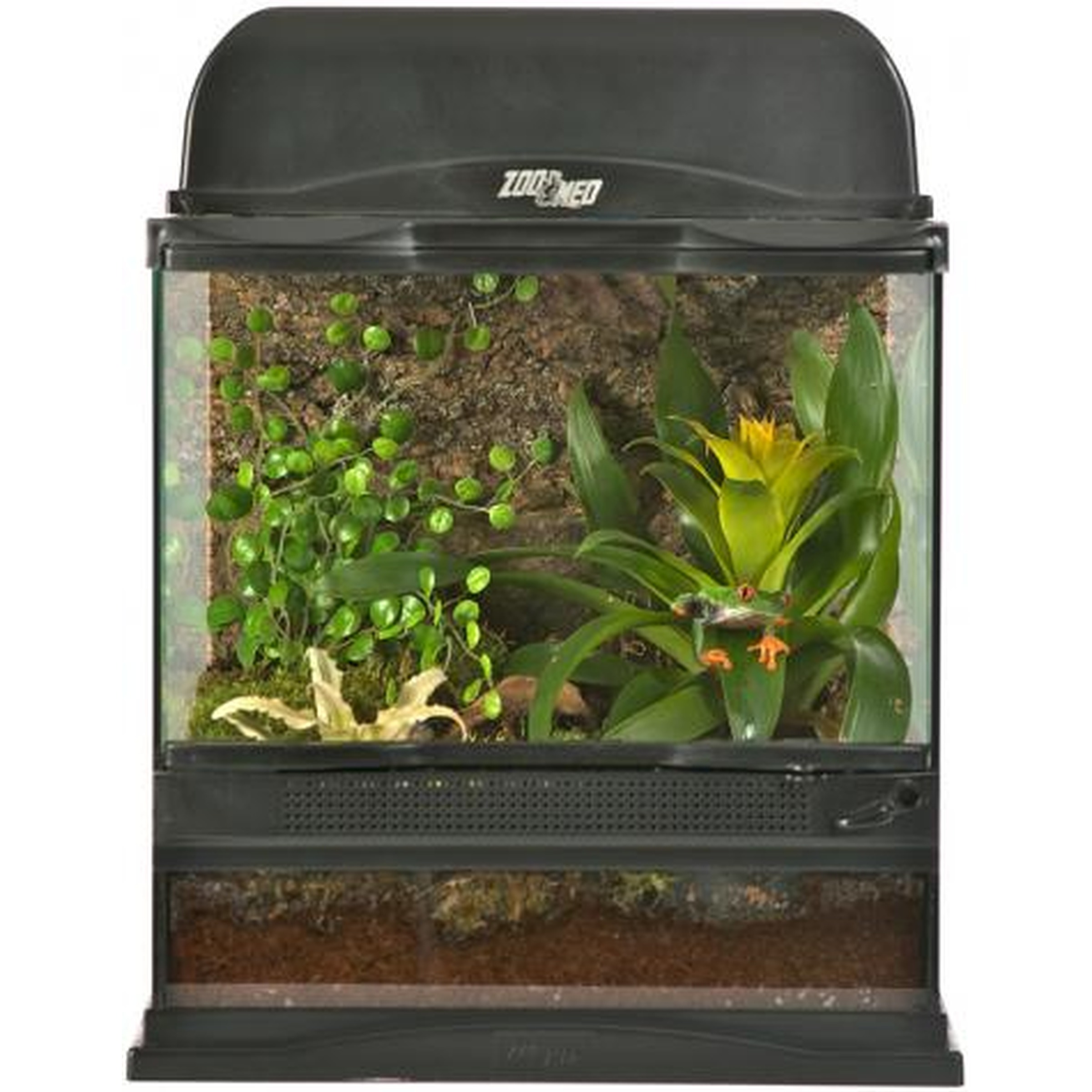 Zoo Med Small Naturalistic Terrarium | LLLReptile