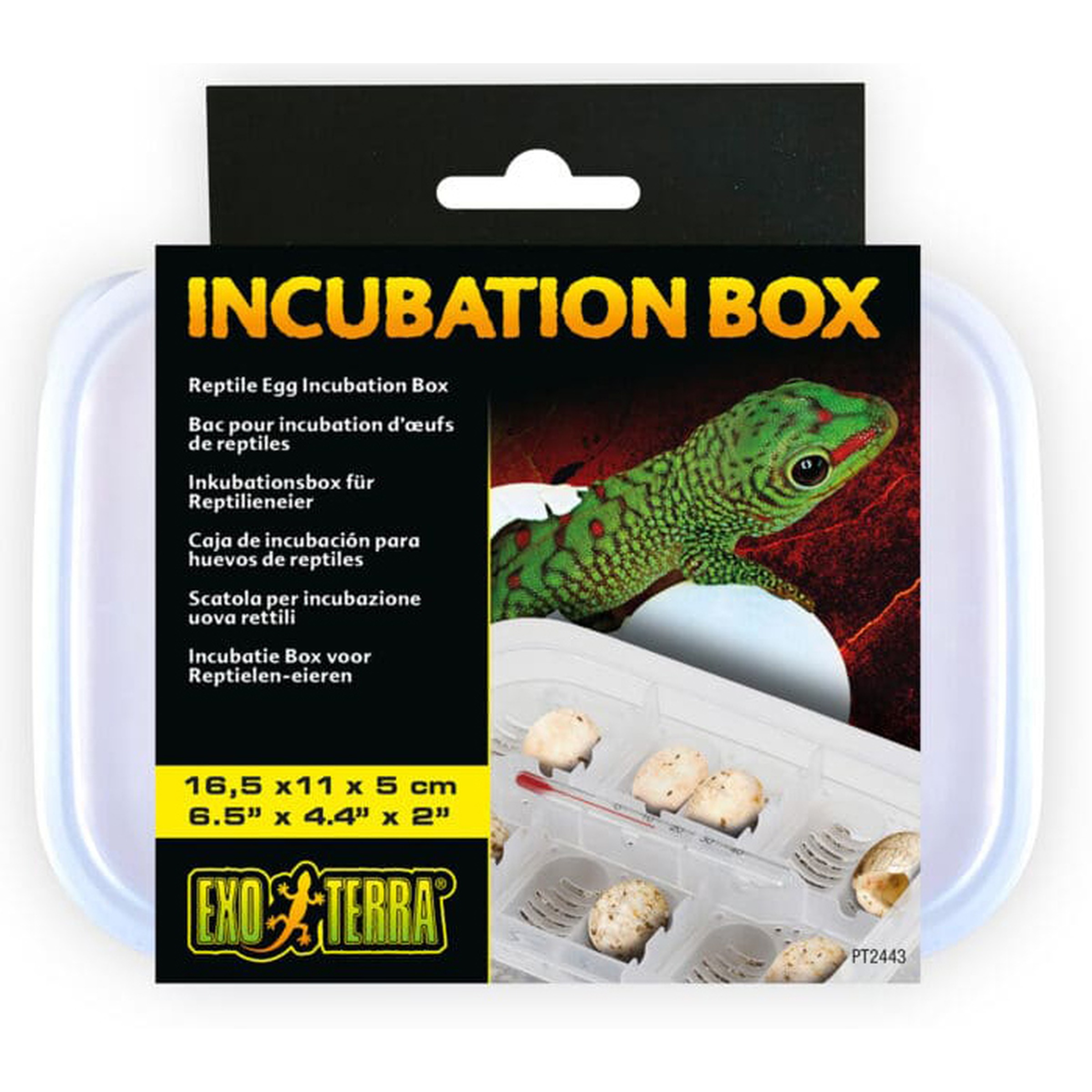 Incubation box for reptile eggs with clear lid; packaging shows a green gecko and an egg tray with several eggs.