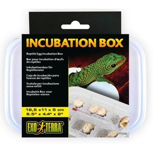 Incubation box for reptile eggs with clear lid; packaging shows a green gecko and an egg tray with several eggs.