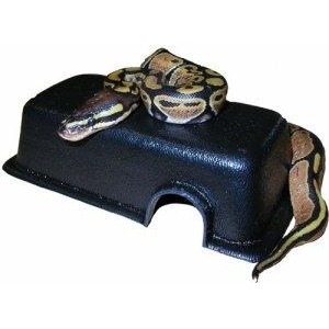 Snake coiled on a black plastic box with a curved opening.