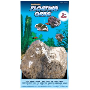Aquarium scene with mossy rocks, small orange fish, tall green plants, and a large bagged rock in the foreground.