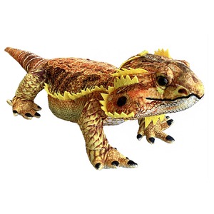 Colorful frilled lizard with yellow spines along back and head, four-legged and textured scales.