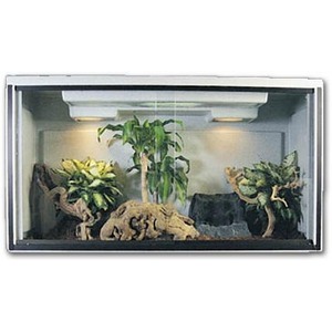 Glass terrarium with driftwood, rocks, and multiple green plants inside a lit enclosure.