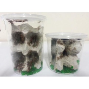 Two clear plastic cups filled with white rock fragments and green base material inside.