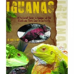 Poster cover for Iguanas featuring green and yellow iguana heads with tropical plants and large yellow title.
