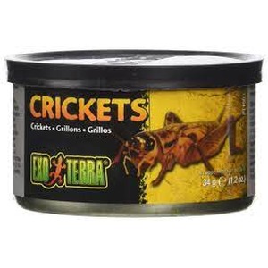 Can labeled Crickets with a large cricket illustration and Terra branding.