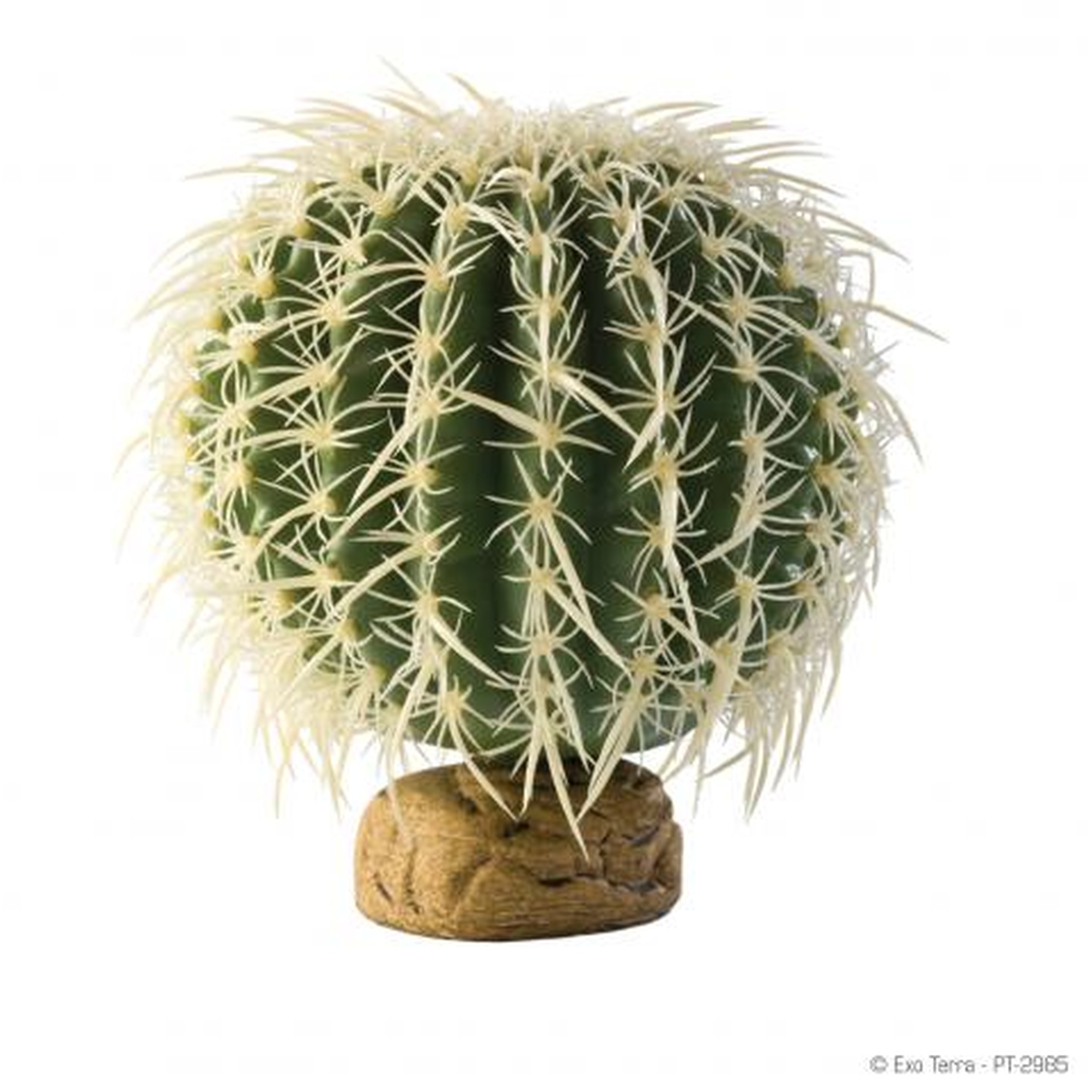 Globular cactus with dense white spines on a small brown pot.