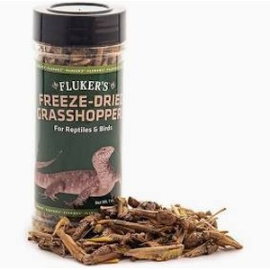Flukers Freeze-Dried Grasshoppers container with dried grasshoppers scattered in front