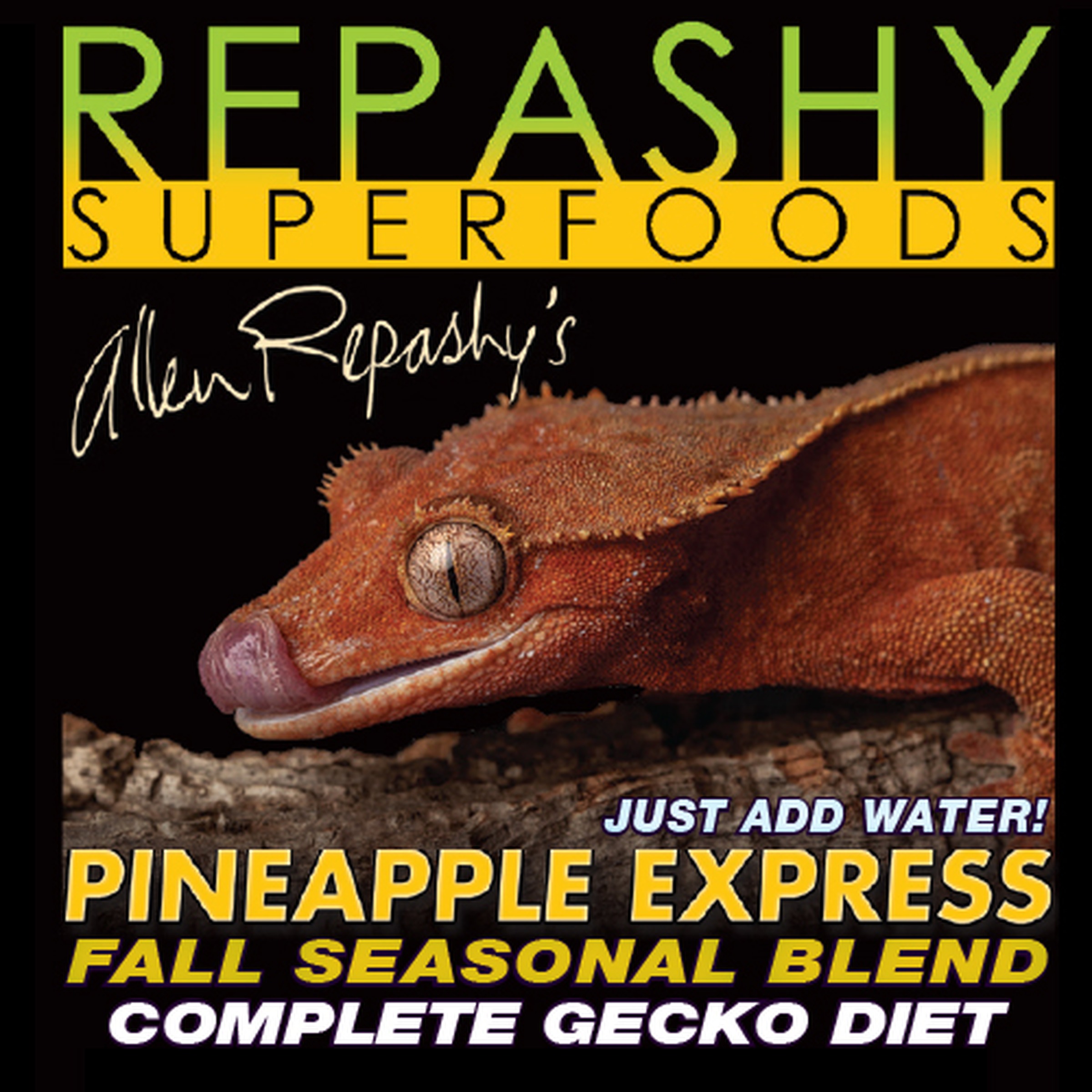 Close-up of a gecko on a dark product package labeled Repashy Superfoods Pineapple Express Fall Seasonal Blend for geckos.