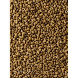 Close-up of small brown pellet-shaped granules densely packed; a measurement scale is visible at the bottom-left.