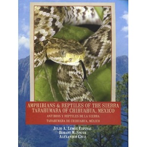 Close-up of a venomous snake with forked tongue, framed by a red title banner about Sierra Tarahumara reptiles.