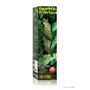 Dripper Plant Large packaging with lush green leaves and a gecko graphic.