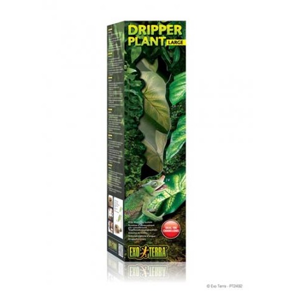 Dripper Plant Large packaging with lush green leaves and a gecko graphic.