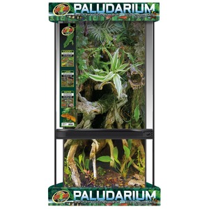 Two-tier paludarium with lush tropical plants, driftwood, and a water section inside a glass enclosure.