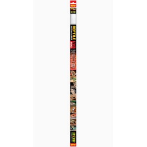 Tall vertical ad strip with stacked panels, bold red, yellow, and black text, and small comic-style images.