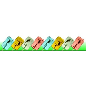 Colorful popsicles with insect silhouettes arranged diagonally over a green ground.