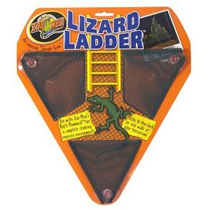 Orange triangular toy packaging labeled LIZARD LADDER with a yellow ladder and a cartoon green lizard.