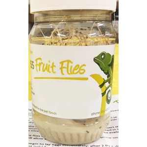 Glass jar labeled “Fruit Flies” with a green frog illustration, containing numerous fruit flies inside.