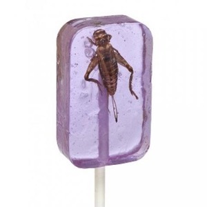 Purple rectangular lollipop on a stick with a preserved scorpion embedded inside.