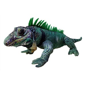 Green iguana with a spiky dorsal crest and blue-green, scaly skin on a white background.